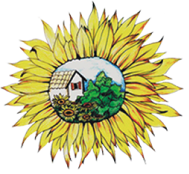 marchio girasoli